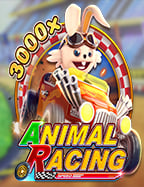 สูตรเด็ด bet365 ทางเข้า มือถือ ที่ไม่ควรพลาด